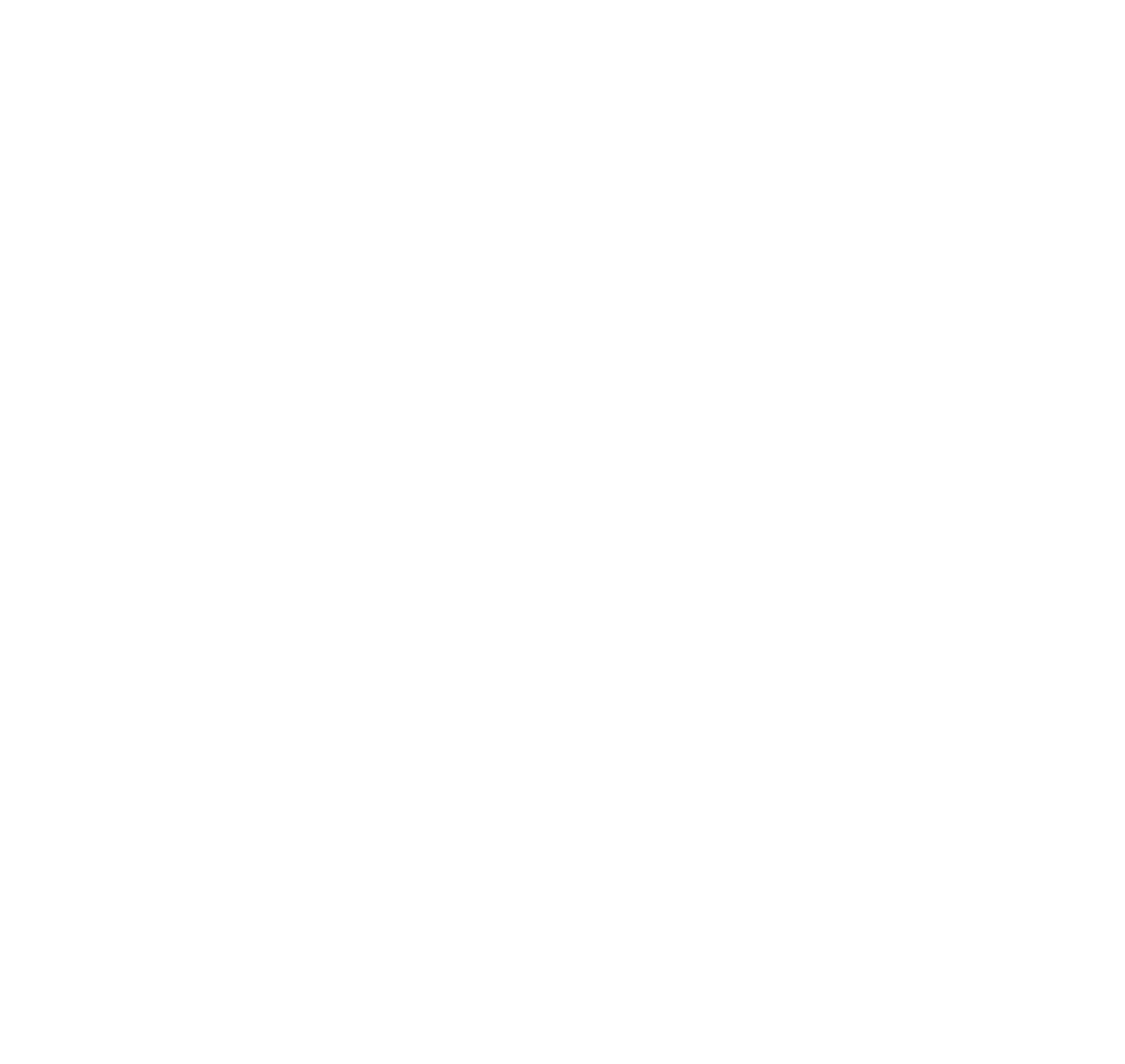Lions Türkiye