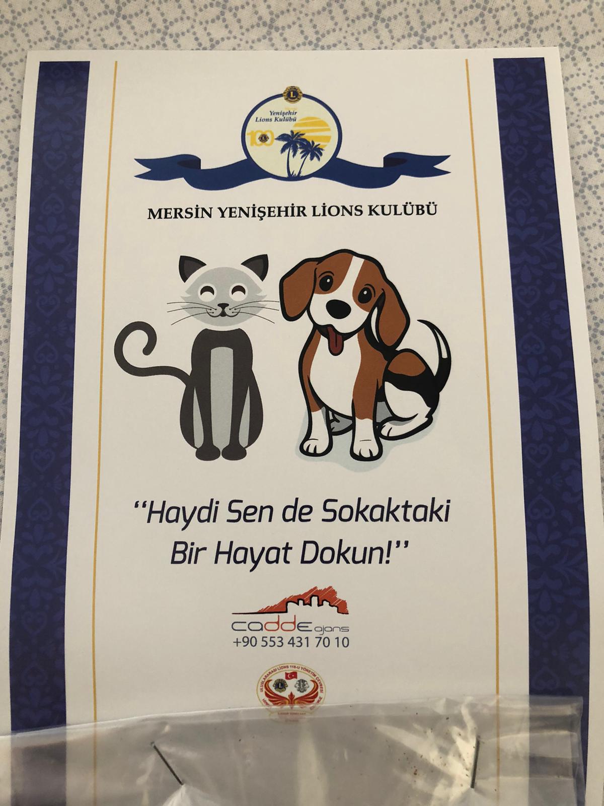 PATİLİ DOSTLAR ETKİNLİĞİ 