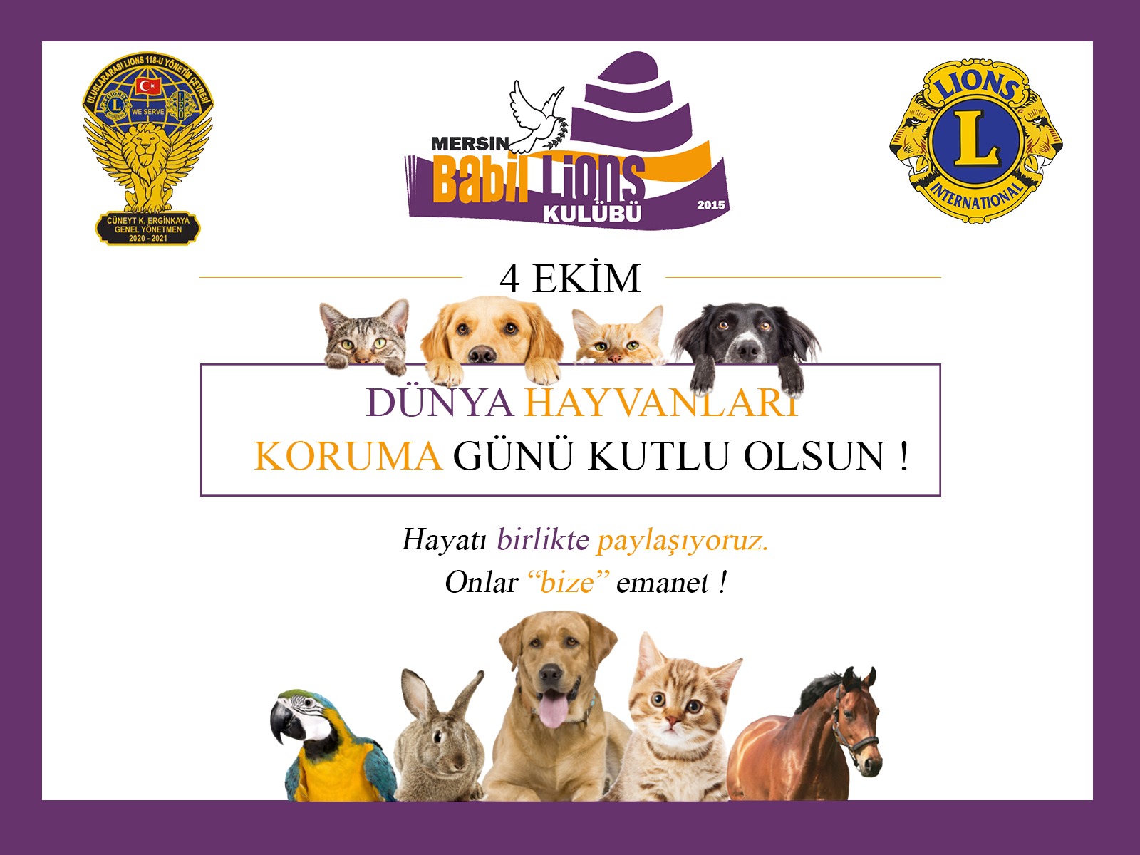 HAYVANLARI KORUMA GUNU 2. ETKINLIK