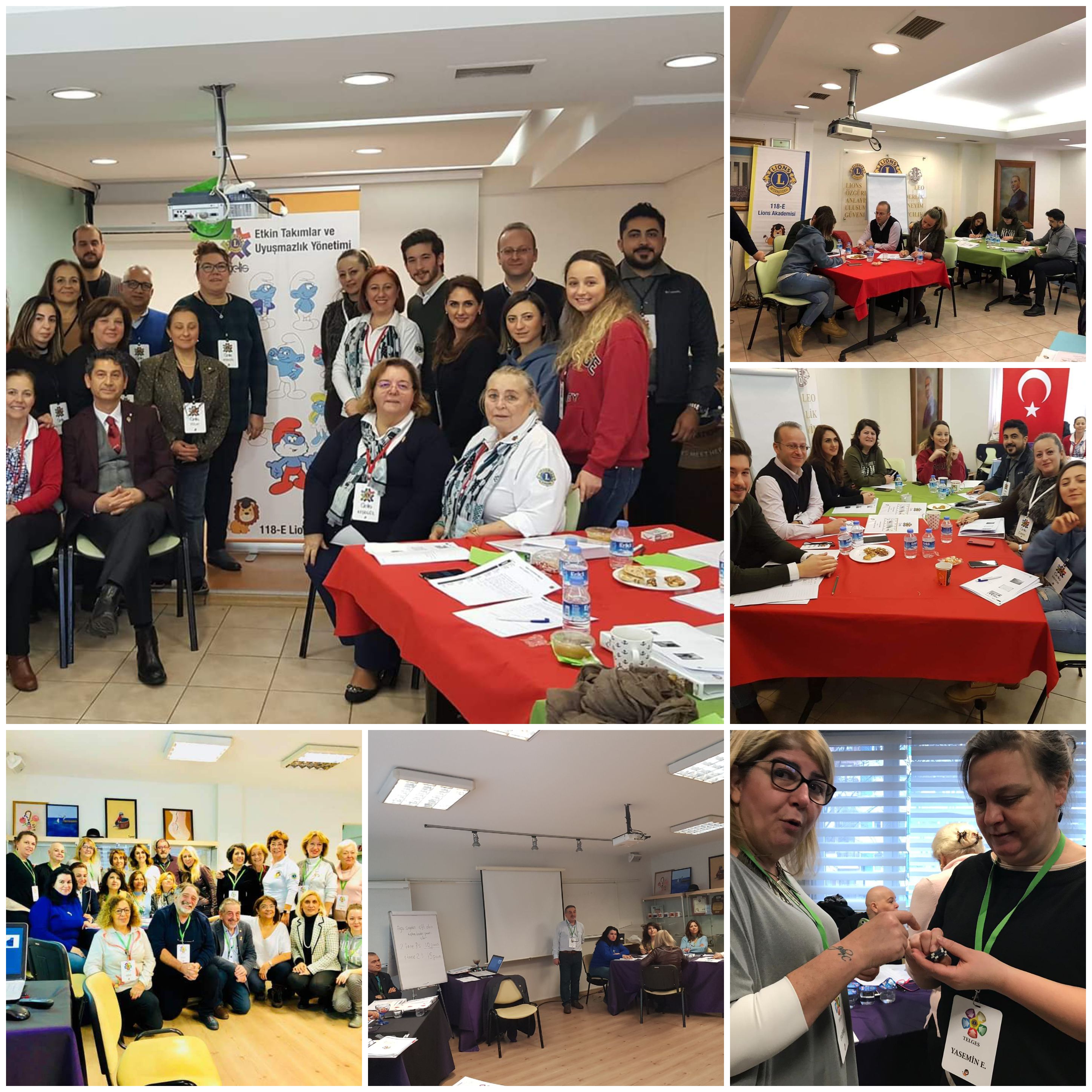 GELIS ve TELGES Eğitimleri 3. Modül