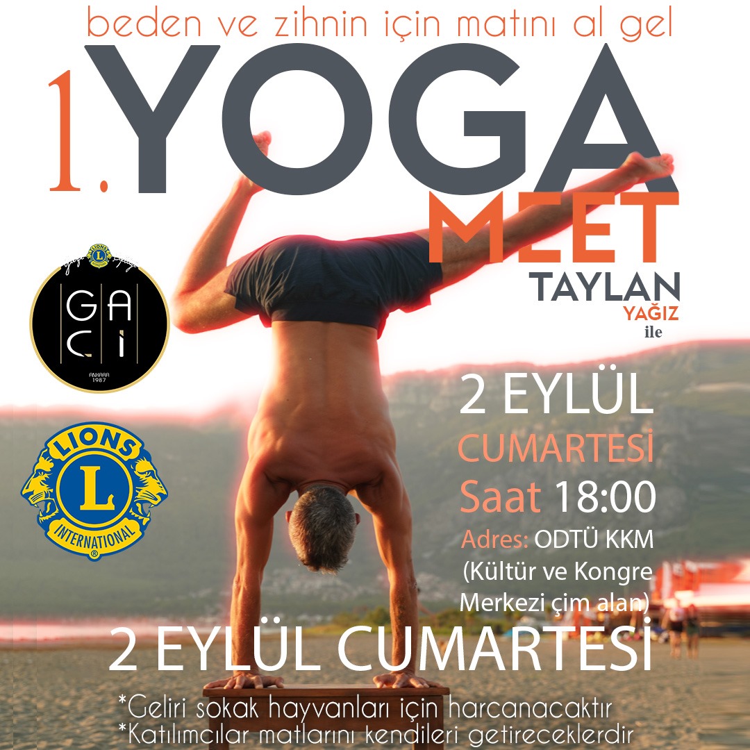 1. Yoga Buluşması (Sokak Hayvanları Yararına)