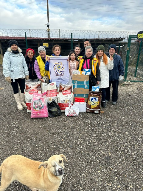 500 köpeğin tedavisi için ve beslenmesi için gereken ihtiyaçlar karşılandı