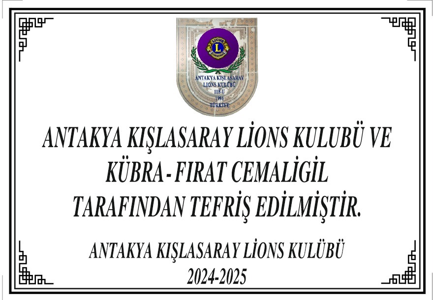 Kisecik ilkokulu zeka sınıfı 