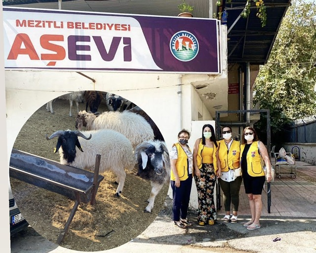 MEZITLI AŞEVİNE KURBAN BAĞIŞLADIK!!!