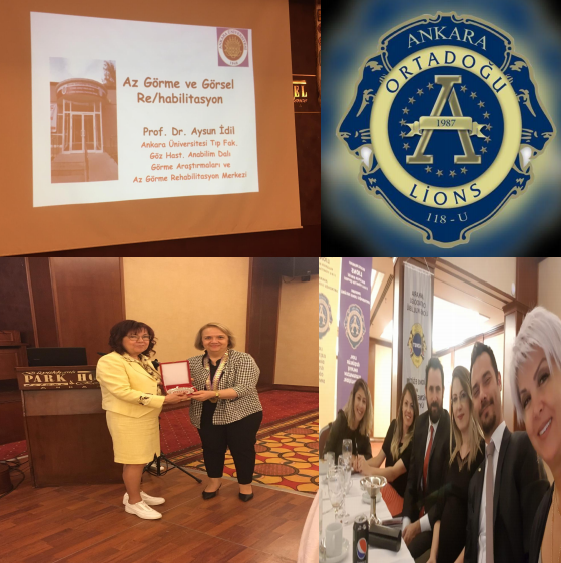 Görme Farkındalığı