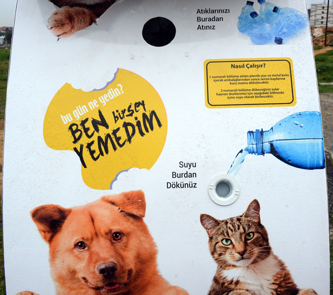 SOKAK HAYVANLARINA GIDA TEMİNİ İÇİN MALİ DESTEK