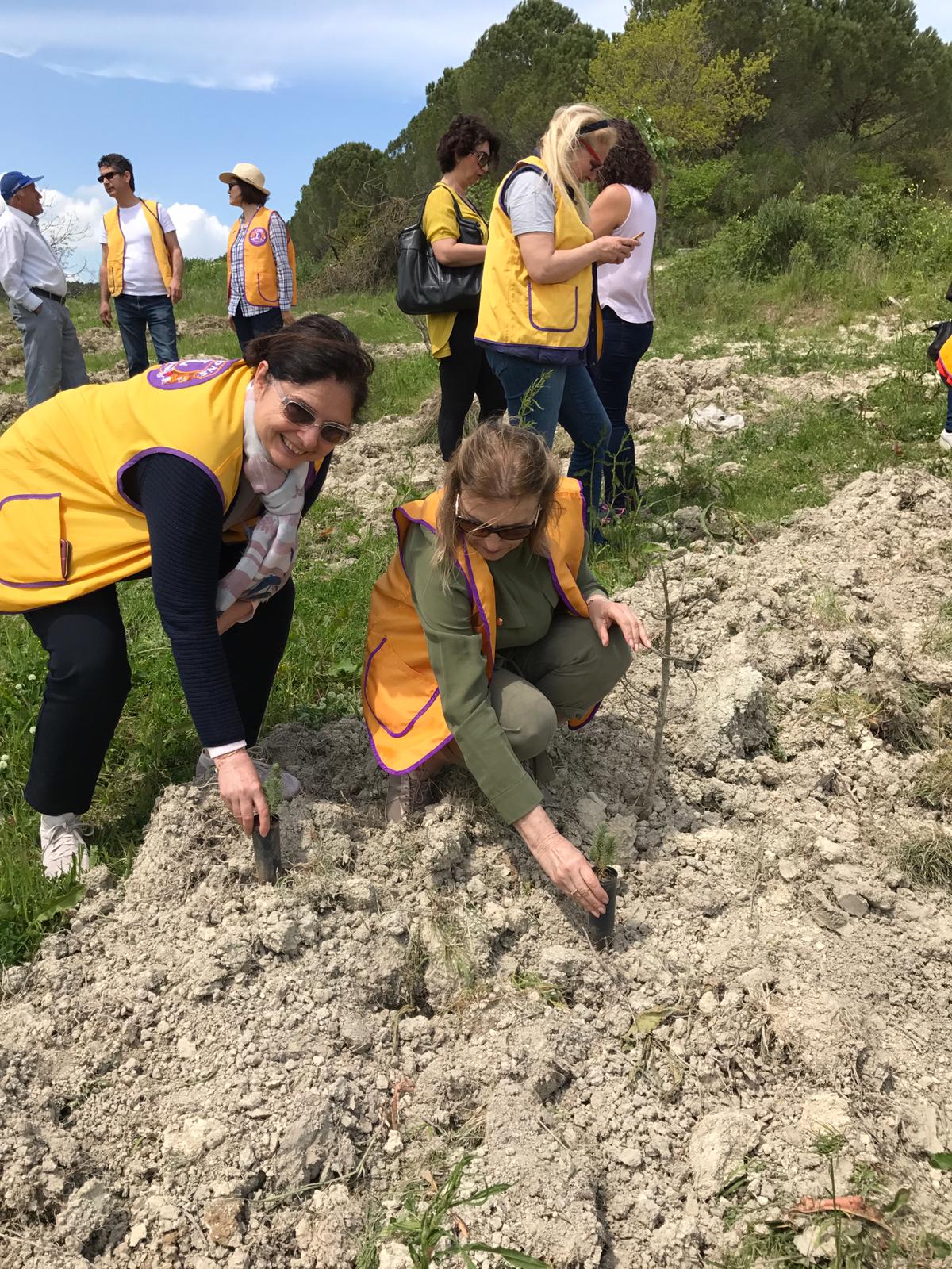 Asil Alpan Ormanına ağaç dikimi