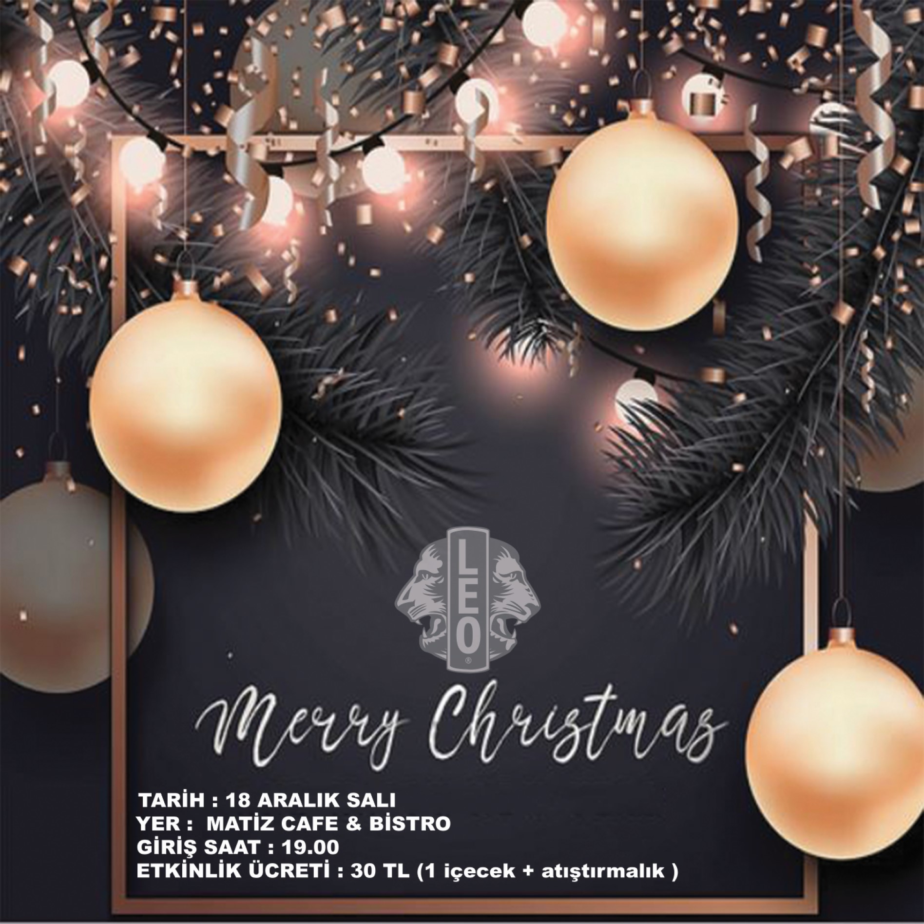 Mezitli Leo Kulübü Yılbaşı Etkinliği